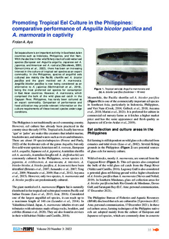 Promoting tropical eel culture in the Philippines: Comparative